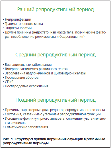 Репродуктивный период. Ранний и поздний репродуктивный Возраст. Характеристика репродуктивного периода. Периоды репродуктивного возраста. Какова Продолжительность репродуктивного периода женщины?.