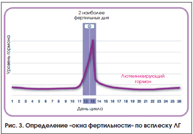 Что такое окно фертильности. Окно фертильности. Окно фертильности у женщин. Как определить фертильность. Окно фертильности симптомы.