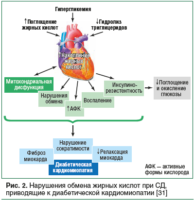 Обменные процессы в миокарде. Нарушение метаболизма миокарда. Обменные изменения в миокарде. Метаболические изменения в миокарде. Метаболические нарушения в миокарде.